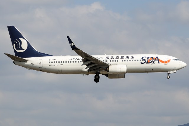 山东航空 B737-800(WL)