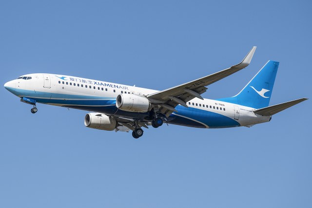 厦门航空 B737-800(WL)