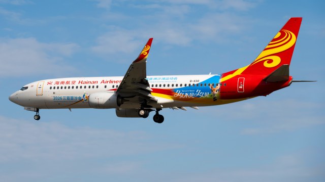 海南航空 B737-800(WL)