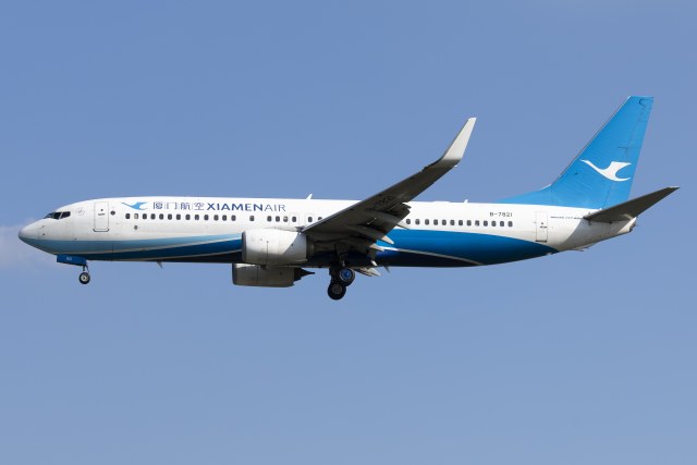 厦门航空 B737-800(WL)