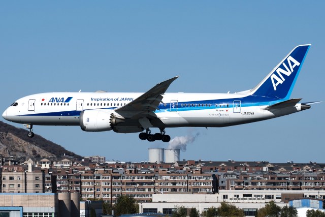 全日空航空 Boeing 787-8 Dreamliner
