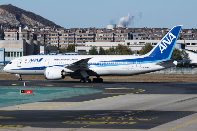 全日空航空 Boeing 787-8 Dreamliner
