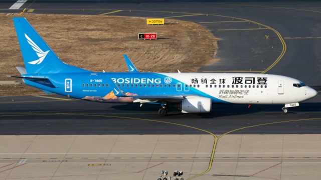 瑞丽航空 B737-86J(WL)