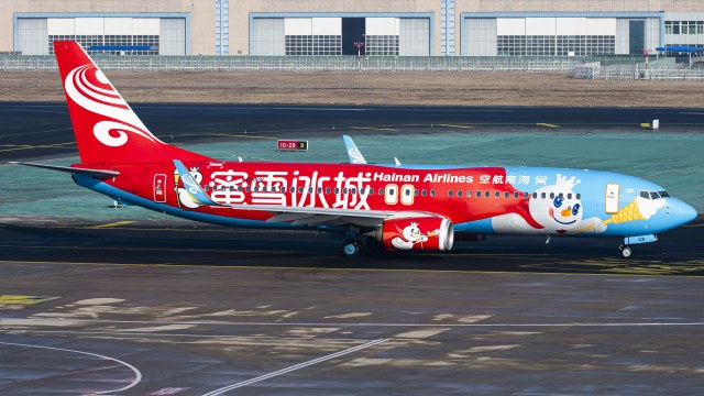 海南航空 B737-800(WL)