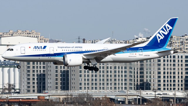 全日空航空 Boeing 787-8 Dreamliner