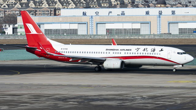 上海航空 B737-89P(WL)