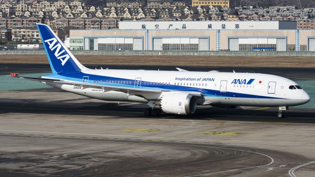 全日空航空 Boeing 787-8 Dreamliner