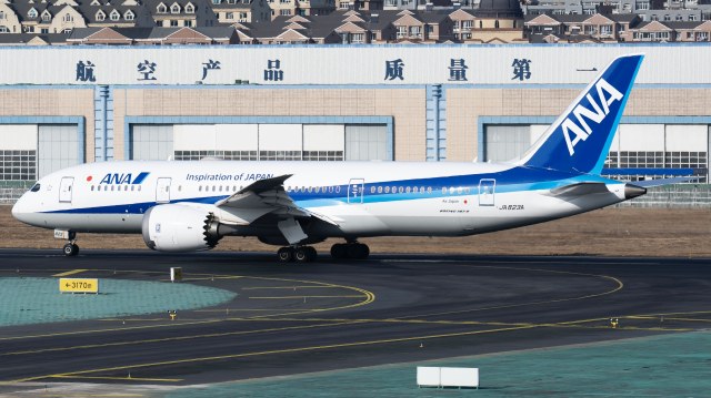 全日空航空 Boeing 787-8 Dreamliner