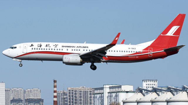 上海航空 B737-89P(WL)