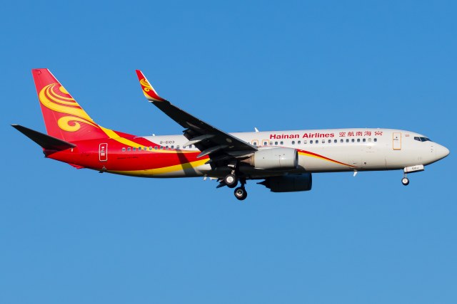 海南航空 B737-800(WL)