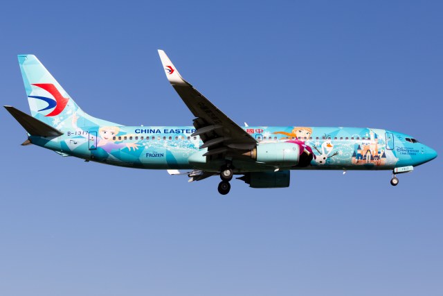 中国东方航空 Boeing 737-89(WL)