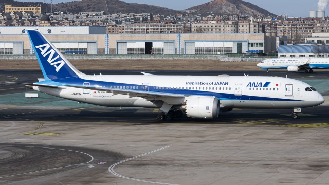 全日空航空 Boeing 787-8 Dreamliner