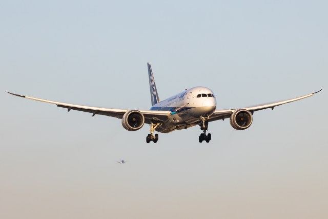 全日空航空 Boeing 787-8 Dreamliner