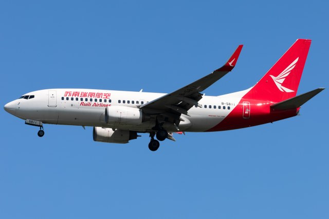 瑞丽航空 B737-700(WL)