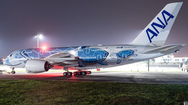 全日空航空 Airbus A380-841