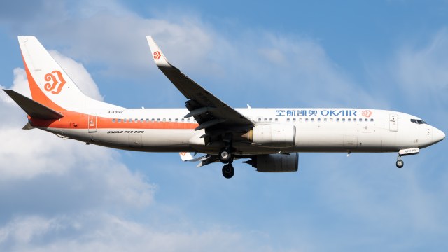 奥凯航空 B737-800(WL)