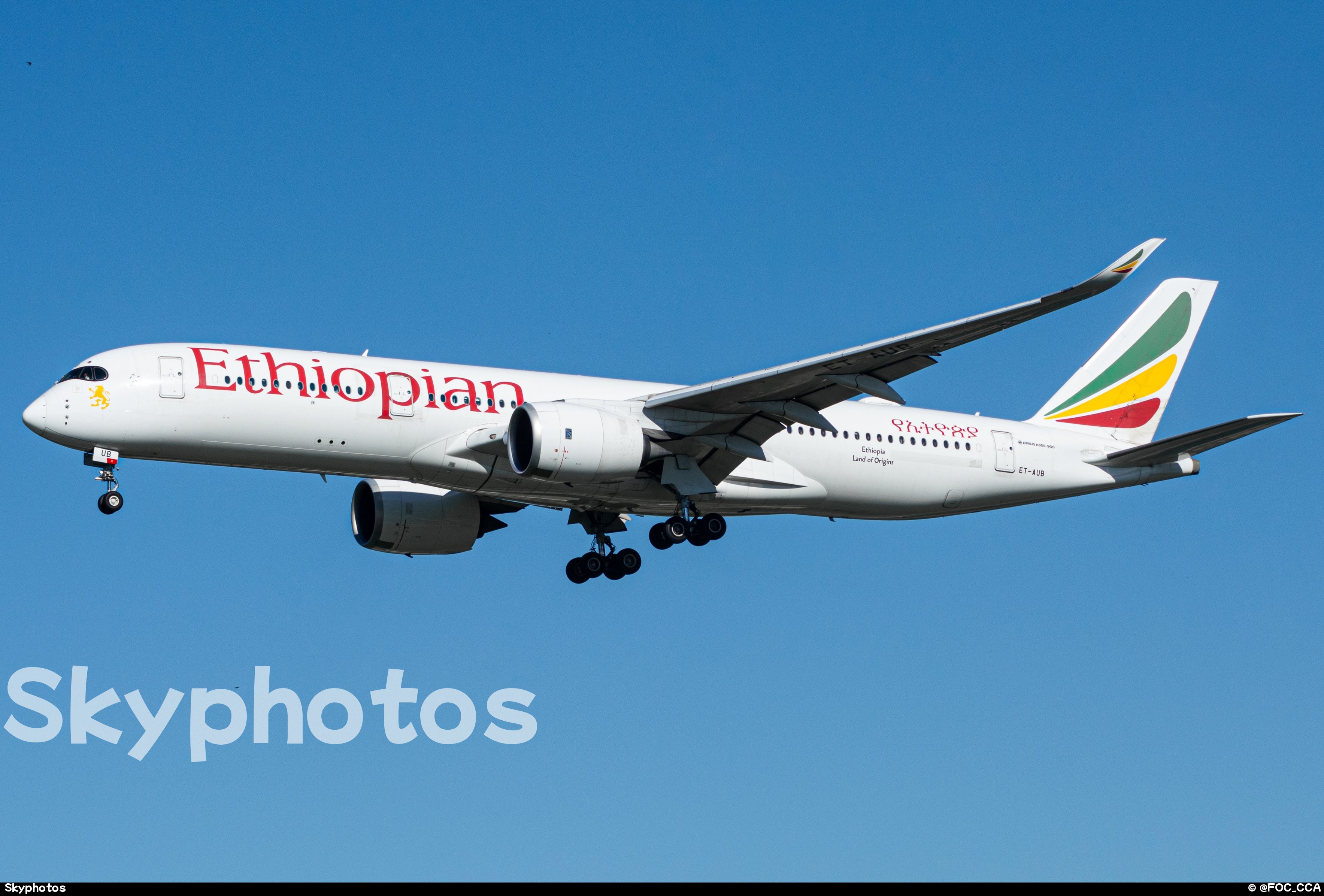 埃塞俄比亚航空 Airbus350